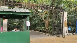 Arroceros Forest Park in Manila Walking Tour #arrocerosforestpark #forest #manila #manilaforest