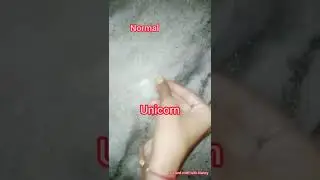 normal VS unicorn stationery / # shorts