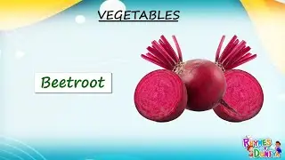 Vegetable Are Awesome! Learn Their Names with Fun! Jump Into vegetable  Names Every Kid Should Know!