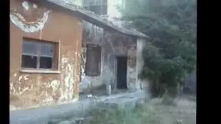 CÜREK 2014