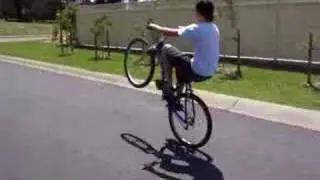 the wheelie king
