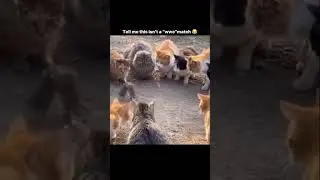 #shorts #reels #viral #attitude #savage #sigma #funny #fiction #fighting #gunvsgookim