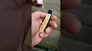 2 days carry burnt natural bone single blade  Copperhead  come on #caseknives #shorts #pocketcarry
