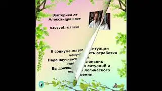 STATEMENTS BY ALEXANDER SVET