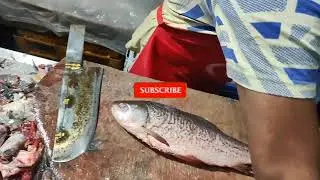 ROHU FISH || BENGALI CUTTING ROHU FISH || BY EXPERT CUTTER ||  A.M FISH HOUSE..
