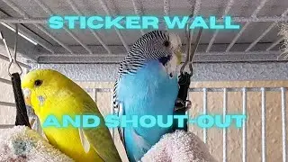 Mo&acute;s Sticker Wall and Channel Shout-Out: RC Team Austria