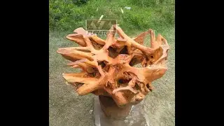 Buy Natural Round Teak Root Coffee Table