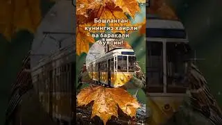 #like #доброеутро #cooking #duet #happybirthday #rek #love #дуэт #live #dance #jokes #shorts