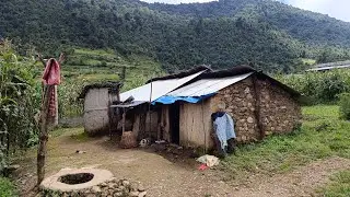 Naturally Beautiful And Most Relaxation Village Life|| Nepali Rural Activities||Original Lifestyle||