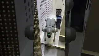 Робот сегодня стоял как статуя, а сегодня в Китае с моим другом такой же поздоровался!