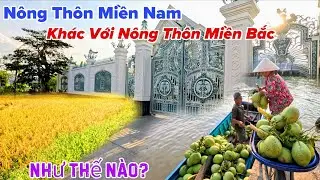 Sự Khác Biệt Giữa Nông Thôn Miền Nam Và Nông Thôn Miền Bắc Sẽ Như Thế Nào?