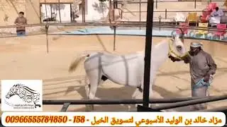 ‏‏اكبر حراج، مزاد اسبوعي لتسويق الـ خيول (158) The largest and oldest weekly horse marketing auction