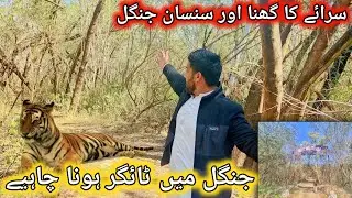 Pabbi Forest Park Khariyan | Jungle in Pakistan | Safeer Bhai Vlog