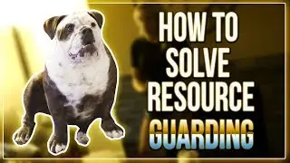 HOW TO SOLVE RESOURCE GUARDING