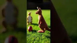 AFL Australian Rules Football: Toy Kangaroos vs Dog Goal Posts #funny #animal