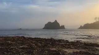 Toleak Point, Washington