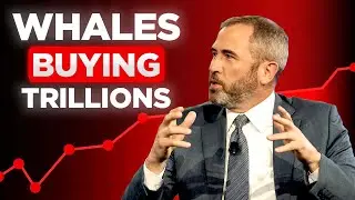 Ripple XRP News - MEGA WHALE ALERT: XRP ACCUMULATION HAS GONE INSANE (MUST WATCH)