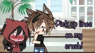Pick up lines on my CRUSH! *Cute reaction* ft.darkdragon heart (no music)