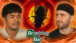 So...The Fly huh? - Breaking Bad 3x10 