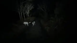22 декабря