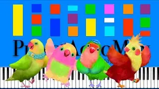 CBeebies - 3rd and Bird Theme Song (Slow Easy Medium) Piano Tutorial 4K