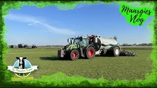 Maargies vlog 147: Mest uitrijden, kijkje in Kooklokaal & jonge duiven | Fendt Vario | Schuitemaker
