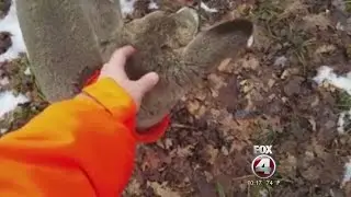 Young buck goes viral
