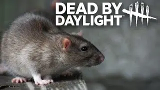 DEAD BY DAYLIGHT | No Pantano o Modo Ratazana Brilha Demais 🥹 #intothefog