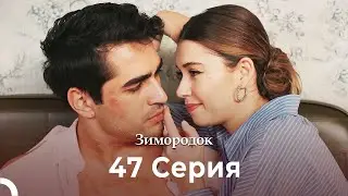 Зимородок 47  Cерия (Русский дубляж) (4K)