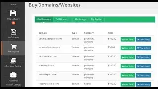 Domainer Elite Pro Review - Make $100 Per Day Flipping Domain Names
