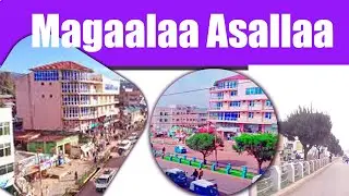 Magaalaa Asallaa Daawwadhaa