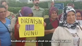 📌Agrobay Seracılık Y&ouml;netim Kurulu &Uuml;yesi Arzu Şent&uuml;rk'den Yalanlar!
