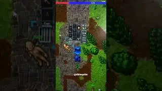 Agora temos o sistema de paper doll, isso &eacute; ao vivo Stephan! Valeu Edu. #tibia
