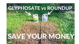 Roundup Vs Generic Glyphosate/Cost and One Week Results