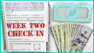 Week 2 Check In | Budget with Me - June 2020 Budget