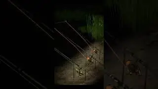 🐠🐠🐠Carp fishing with boilies. Night fishing in the lake 👉👍🎣 RF4 short #shorts #fishing #gaming
