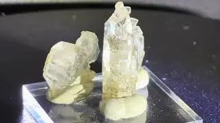 Minerals #678: Quartz, Kiental, Bern, Switzerland. 東京国際ミネラル秋のフェア. 2025.10. 3.