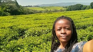 LARGEST TEA ESTATE (KAIMOSI)& FACTORY//VILLAGE ADVENTURE , KENYA -AFRICA 