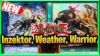 Новые карты YuGioh 2022/2021: Новый Инзектор, Погода, Воин, Поддержка, Сила Измерений YuGioH