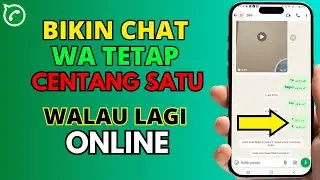 Cara Membuat WhatsApp Centang Satu Meskipun Sedang Online