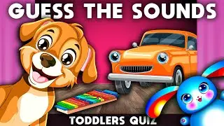 Sound Guessing Game for Kids 👂🐰 | Fun Learning with Danny Bunny | English Language Learning
