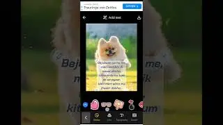 Adorable Puppy |  Cute Puppy || @jattontour #youtubeshorts #shortsvideo #anime