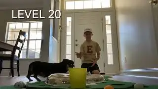 Ping pong trick shots levels 1 to 100