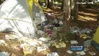 Forest rangers clean up big mess left by campers