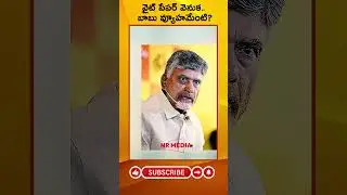 NR MEDIA\\What is Babu's strategy behind the white paper