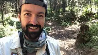 A Virtual Tour of the Monarch Butterfly Reserves