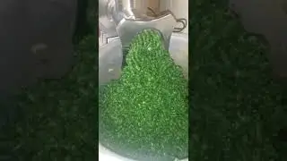 Experiment Meat Grinder vs Spinach