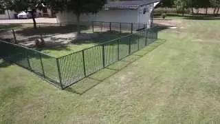 Allevamento VIZSLA 