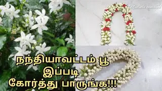 நந்தியாவட்டம் பூ இப்படி கோர்த்து பாருங்க!!! | Easy Bridal Flower making using Nandiyavattam Tamil