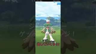 北風小僧のジュナイパー!! GETだぜ!!【ポケモンGO】【ブルックGO】 #shorts
